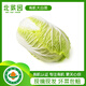 北菜園有機(jī)大白菜500g 新鮮有機(jī)蔬菜 【進(jìn)店多樣加購】火鍋食材