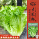 壽禾 生菜種子苗四季家庭盆栽種植蔬菜種籽 全年生菜種子11g約8000粒