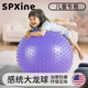 SPXINE兒童感統(tǒng)訓(xùn)練大龍球嬰兒瑜伽球幼兒園專用器材加厚防爆寶寶平衡球 【環(huán)保無味】紫色（加厚防爆） 75cm