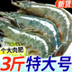 鯨口大開【鯨口大開】青島大蝦新鮮大蝦冷凍鮮活水產(chǎn)大對蝦大白蝦海蝦批發(fā) 16-18厘米鮮蝦速凍 3斤(凈重)