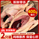 百味殿乳鴿新鮮宰殺正宗三年老鴿子保留心肝冷凍農(nóng)家散養(yǎng)滋補(bǔ)土鴿子湯 老鴿子凈重400g*兩只（送料包）