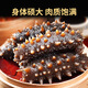 御貢鮮大連生鮮海參 家裝 底播刺參 新鮮海產(chǎn)品送禮 鮮食海參500g/6-8頭 2盒