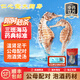 三斑海馬中藥材飲片泡酒煲湯料海龍干貨一公一母正品中藥飲片田七增高湯包 【精選三斑海馬】 2克/對-公母配對