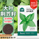 北蔬 荊芥種子苗菜籽河南大葉秋四季播蔬菜種籽 大葉荊芥種子約1000粒