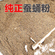 蠶蛹粉釣魚(yú)專(zhuān)用純蠶蛹粉新鮮干蠶蛹粉鳥(niǎo)食高蛋白濃腥餌料黑坑野釣 蠶蛹粉【1斤】