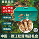 土地母親計(jì)劃 雅江松茸菌未開(kāi)傘新鮮松茸鮮菌菇冷鏈空運(yùn)現(xiàn)貨快至24H達(dá)團(tuán)購(gòu)送禮 輕奢【高品質(zhì)禮盒】7-9cm 1000g