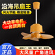 工業(yè)海南吊扇大風(fēng)力高速空調吊風(fēng)扇小型家用靜音吊掛式吊頂電風(fēng)扇 (純銅電機)黃色450mm-壁控開(kāi)關(guān)