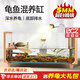 貝初眾烏龜缸生態(tài)魚(yú)缸龜魚(yú)混養(yǎng)龜缸一體自循環(huán)飼養(yǎng)烏龜專用小中大型家用 60*29*29混養(yǎng)缸【浮臺(tái)曬燈過(guò)濾器 帶養(yǎng)龜大禮包 開(kāi)箱即用 底部排水 龜魚(yú)無(wú)憂