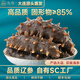久年 大連即食海參 鮮食冷凍遼刺參 生鮮海鮮水產(chǎn)禮盒 500g 8-12頭盒裝 85%固形物