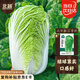 北蔬 北京新三號大白菜種子耐寒秋冬庭院田間蔬菜籽 北京新三號種子5g