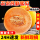 探味君 正宗民勤蜜瓜 應(yīng)當(dāng)季新鮮水果現(xiàn)摘黃金脆香瓜哈密甜瓜  整箱 凈重8.5斤 【嘗鮮裝】試吃嘗鮮