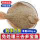 一蝦一世界鮮活三去多寶魚(yú)（去鱗去腮去內(nèi)臟）生鮮魚(yú)類(lèi) 開(kāi)袋即烹 無(wú)冰凈重400g*4條【免處理】