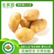 北菜園有機(jī)黃心土豆750g新鮮有機(jī)蔬菜【進(jìn)店多樣加購(gòu)】小土豆北京種植 有機(jī)黃心土豆