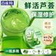 百雀羚（PECHOIN）蘆薈膠 保濕蘆薈凝膠 曬后修護(hù)補(bǔ)水舒緩肌膚淡化痘印護(hù)膚品女官方 共 360g