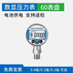 昱瑯電子數(shù)顯精密壓力表0.2級(jí)高精度數(shù)字液壓氣壓水壓真空負(fù)壓60表盤(pán) -100~0KPA(0.4級(jí)精度)