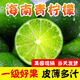 兮柔海南青檸檬 新鮮檸檬 奶茶店餐飲泡飲專(zhuān)用當季時(shí)令新鮮水果 3斤裝