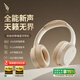 西伯利亞（XIBERIA）羽DM02雙金標(biāo)版 主動降噪 無線頭戴式藍(lán)牙耳機(jī) 超長續(xù)航音樂游戲網(wǎng)課運(yùn)動耳麥 適用電腦筆記本手機(jī) DM02【云煙白】雙金標(biāo)
