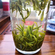 秋博源2025新茶葉明前特級黃山毛峰高山綠茶正宗產(chǎn)地春茶散茶葉 125克