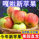 2025年嘎啦蘋(píng)果新鮮應(yīng)當(dāng)水果脆甜青紅富士小蘋(píng)果冰糖心丑蘋(píng)果整箱 9斤凈含量8.5斤 精選大果【單果70mm+】