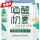 棉致溫柔風海邊度假連衣裙女夏季2025新款壓褶垂墜氣質背心無袖長裙子 白色 L 建議111-120斤