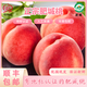 順豐直發(fā)山東肥城當(dāng)季正宗水蜜桃大毛桃佛桃軟脆兩吃酸甜雙口爆汁 產(chǎn)地現(xiàn)摘水蜜桃4.5斤 新鮮大果9個