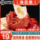 海澤鮮 【無(wú)冰衣】小龍蝦尾500g/袋 特級(jí)麻辣龍蝦尾 冷凍蝦球 生鮮蝦類(lèi) 2斤 一級(jí)蝦尾 【110-130只/斤】