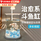 斗魚專用斗魚缸玻璃小型桌面小魚缸辦公室造景生態(tài)缸迷你客廳觀賞 圓角方缸【藍(lán)鉆珊瑚造景】萬人種草 10*15*24.5cm 生態(tài)造景缸