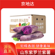 京地達山東沙地紫薯 凈重4.5斤 中果100g+ 粗糧地瓜蔬菜源頭直發(fā)包郵