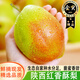 譯蒙之味陜西紅香酥梨新鮮當(dāng)季梨子正宗香梨脆蜜雪梨特產(chǎn)水果 3斤精品大果