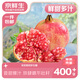 京鮮生 四川會(huì)理突尼斯軟籽石榴 大果5斤單果400-500g 生鮮水果源頭直發(fā)