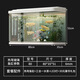 湛曉魚(yú)缸客廳中小型一體家用落地中型熱彎免換水桌面造景玻璃生態(tài)隔層 80厘米魚(yú)缸（送開(kāi)缸禮包）