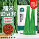 北蔬 豇豆長豆角種子種苗搭架南北方秋四季蔬菜種籽 糯米豇豆種子20g