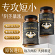 ANPICAL男士瑪咖牡蠣精氨酸壯陽補(bǔ)腎強(qiáng)身延時(shí)持久不射保健增粗增大增硬品