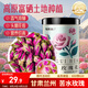 福東海 玫瑰花（蘭州苦水產(chǎn)區(qū)）花茶干花草茶玫瑰泡水養(yǎng)生花茶葉