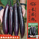 壽禾 長茄子種子苗紫皮秋季菜園種植菜種籽 濰豐黑豹2號長茄種子120粒