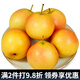 迭果鞍山南果梨東北特產(chǎn)酒梨子新鮮水果遼寧海城南國梨香水梨 5斤帶箱黃果30枚左右