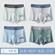 邦多拉（bangduola）青少年內(nèi)褲男中學(xué)生平角褲棉質(zhì)男大童12-18歲男孩四角內(nèi)褲 4條 裝-525 165 L 【推薦90-110斤】