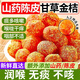 內(nèi)廷上用甘草金桔廣西特產(chǎn)正宗陳皮甘草金桔無糖無添加滋潤喉嚨冰糖金桔干 山藥陳皮甘草金桔 500g 胖東來甄選線上超市京自東營官方旗艦店