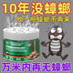 強(qiáng)效驅(qū)蟑螂神器德國(guó)滅蟑螂藥家用無(wú)毒全窩端 【3盒裝】50㎡以下的房間適用