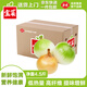 京鮮生&佳農寶菜山東洋蔥凈重4.5斤裝營養(yǎng)豐富源頭直發(fā)