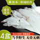 森農(nóng)樂舟山小銀魚鮮活新鮮無鱗冷凍海產(chǎn)生鮮白飯魚深海面條魚輔食海魚 【400g 2盒裝】船供野生3-5cm