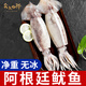 賣魚七郎鮮凍魷魚超大號新鮮整只鐵板魷魚火鍋燒烤食材海鮮冷凍 整條魷魚 400g(凈重)  1只