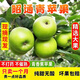 云南昭通青蘋果純甜無酸無澀當(dāng)季現(xiàn)摘脆甜青香蕉蘋果只賣一個月 5斤 60mm（含）-65mm(不含) 純甜味