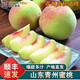 南步山東青州蜜桃【順豐速發(fā)】脆甜離核冬雪蜜桃水密桃毛桃新鮮水果 凈重 5斤中大果【約17-23個(gè)】