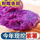 【粉糯-香甜】正宗新鮮沙地紫薯 現(xiàn)摘番薯香甜瓜蔬菜整箱 5斤帶箱（凈重4.5斤) 家庭裝單根50g+