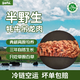 雪峰犇羴牦牛肉 牛外脊 吊龍 西冷 純草飼 原切純天然牛排燒烤火鍋清真 半野生 純天然  2斤（1斤*兩袋）