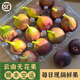 尋天果蔬紫皮無花果【順豐-多地次日達(dá)】云南大果應(yīng)季新鮮水果源頭直發(fā) 【單果40g+】紫皮無花果5斤