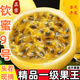 百香果欽蜜9號黃金特大果純甜整箱包郵應(yīng)季現(xiàn)摘新鮮水果生鮮黃皮 【品質(zhì)特大果】3斤70g-90g