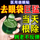 仙宸眼袋貼祛眼袋消除重度嚴(yán)重中老年專用去眼袋去除神器男女士眼膜霜 去嚴(yán)重眼袋：一盒 眼袋消腫液眼膜眼袋提拉緊致抗皺