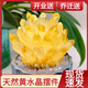 胖東來同款黃水晶擺件天然水晶原石簇黃色水晶客廳辦公室凈化防輻 300g【送底座】水晶齋